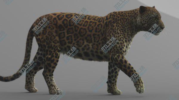 images/goods_img/20210312/3D Jaguar Rigged model/2.jpg